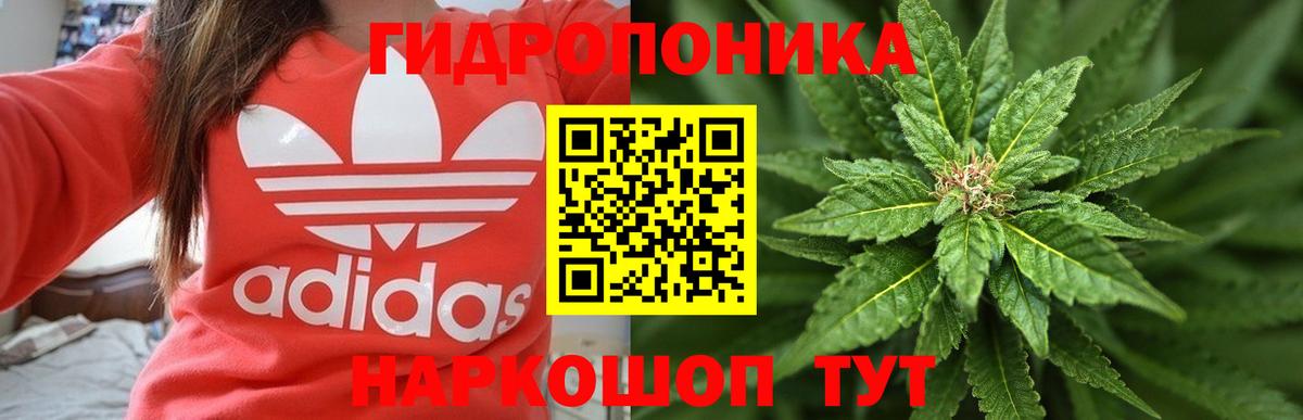 Марихуана ГИДРОПОН  Вход с VPN  Верхний Уфалей  Каннабис индика  Бошки марихуана марихуана  Бошки марихуана Ganja 